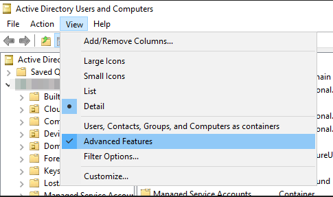 enable advanced features in local AD users and computers